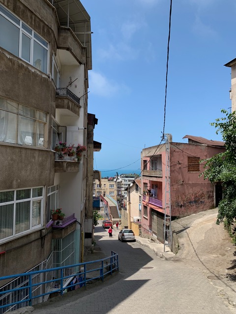 IMG_4652