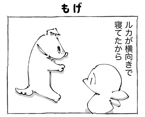 ルカ【10】211