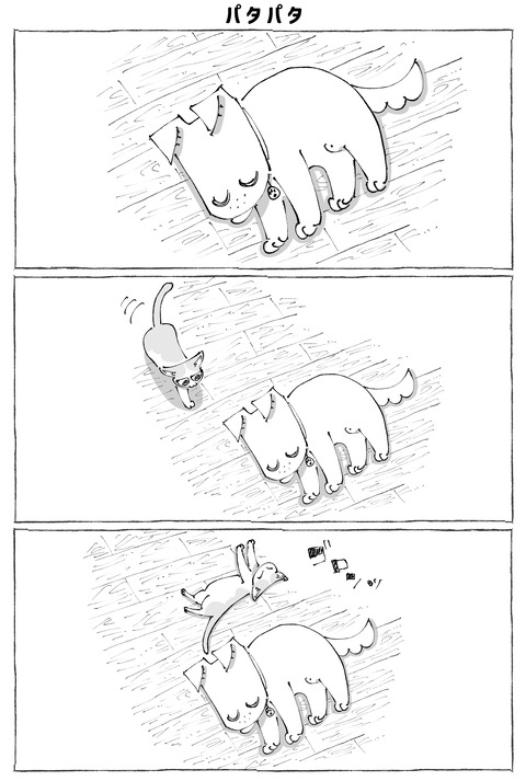 ルカ【111】3−1
