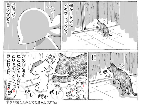 海外旅日記【507】2