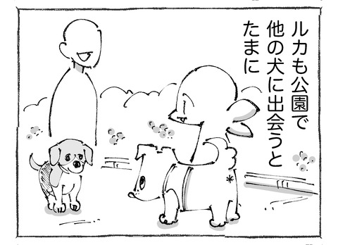 ルカ【10】113