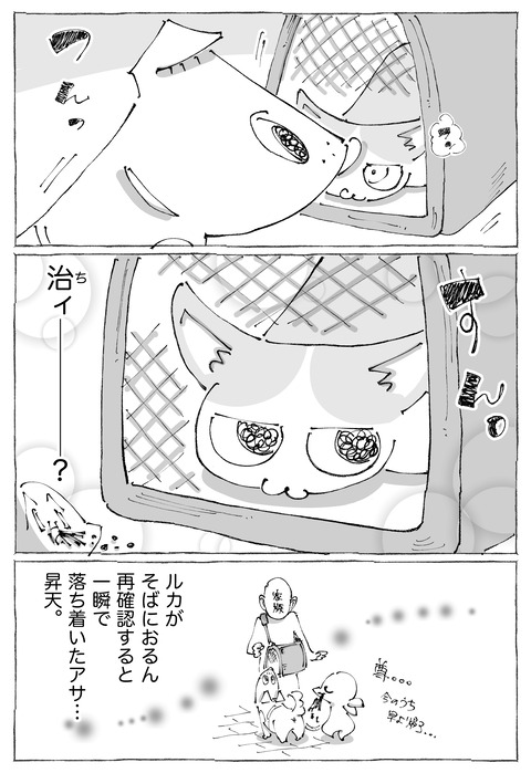ルカ【97】3−4