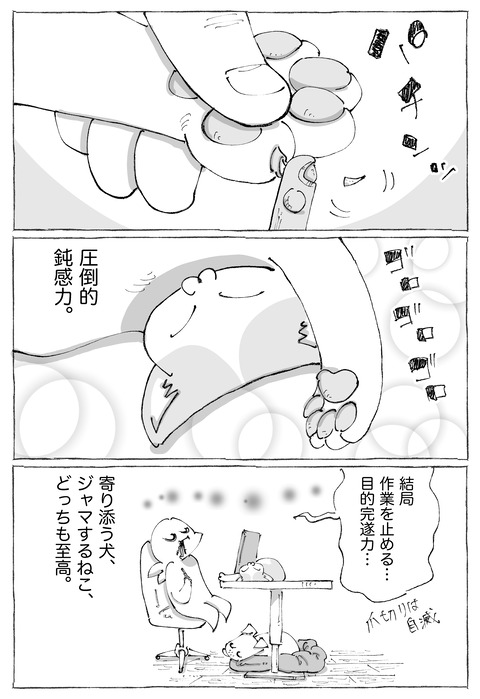 ルカ【103】3−4