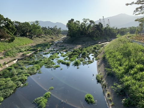 IMG_1552