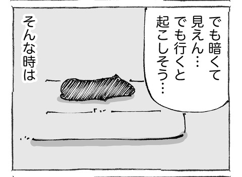 ルカ【11】213