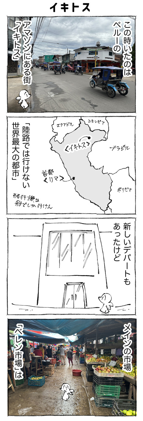 【アマゾン】11