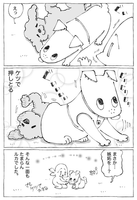 ルカ【10】3−3