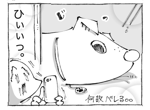 ルカ【11】223