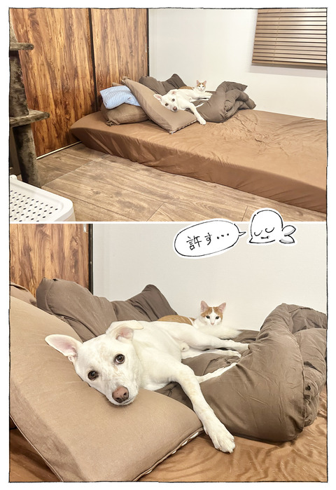 ルカ【110】3−4