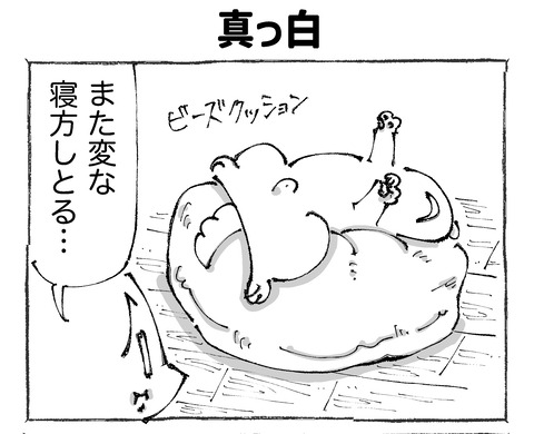 ルカ【41】2−1