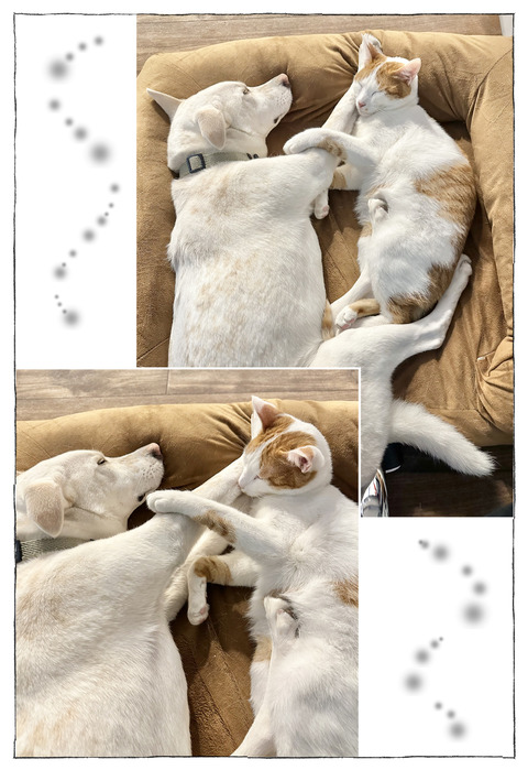 ルカ【114】3−4