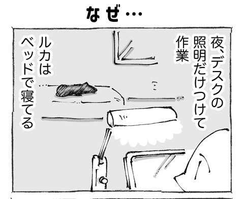 ルカ【11】211