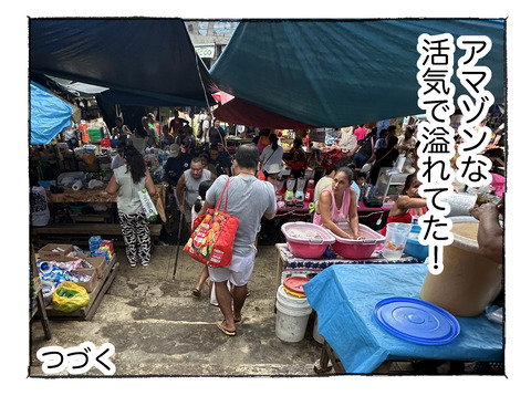 【アマゾン】12