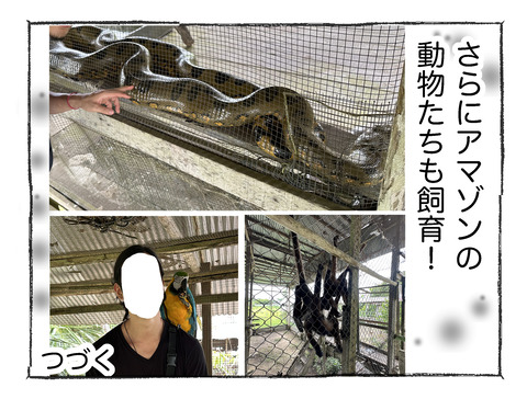 【アマゾン】132