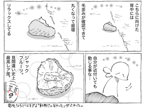 海外旅日記【386】2