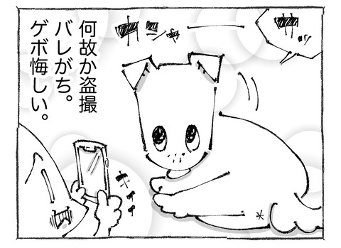 ルカ【11】113