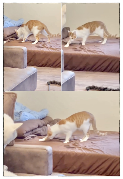 ルカ【112】3−4