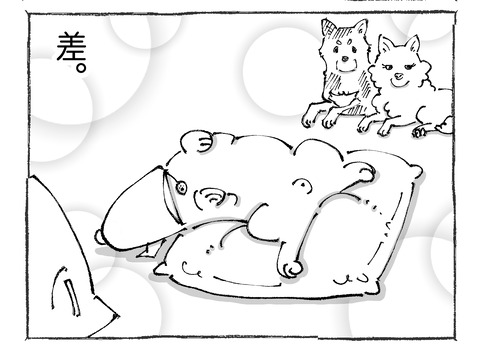 ルカ【2】14