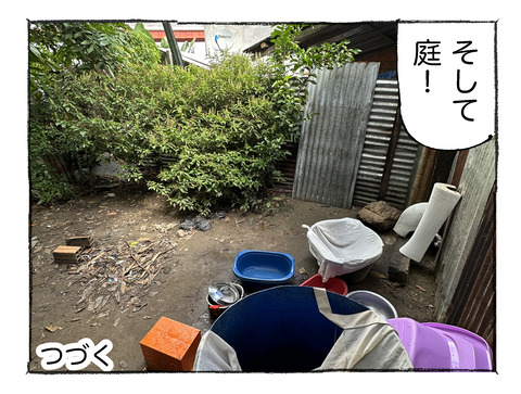 【アマゾン】182