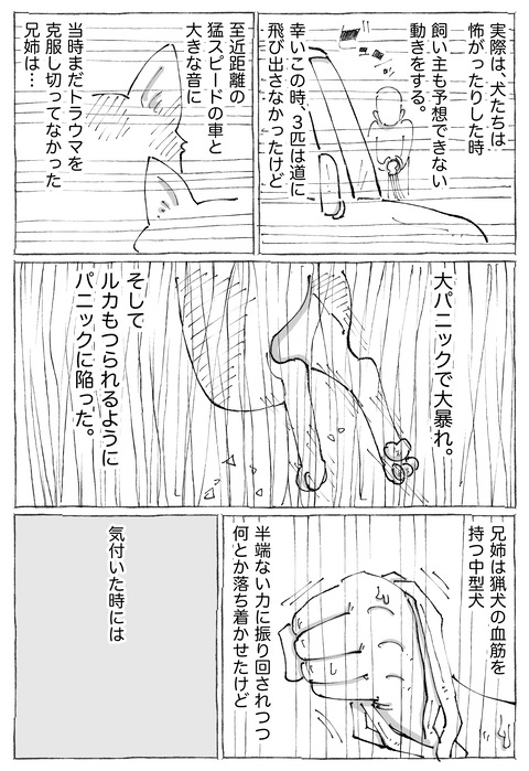 ルカ【5】2−2