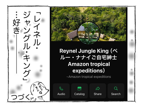 【アマゾン】232