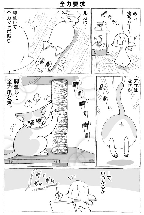 ルカ【113】3−1