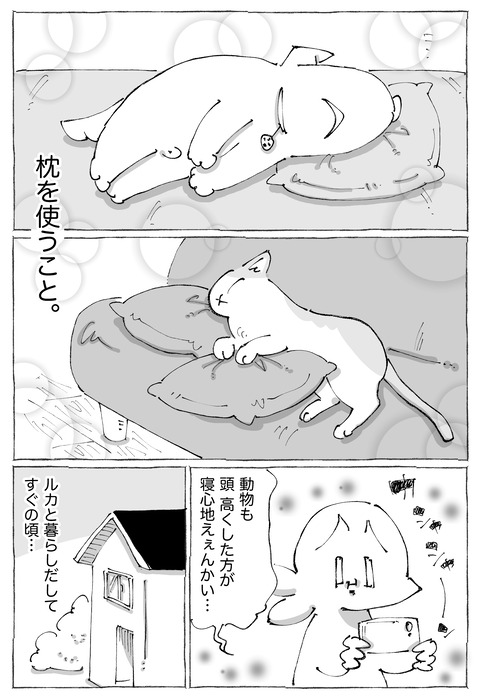 ルカ【95】3−2