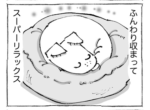 ルカ【14】12