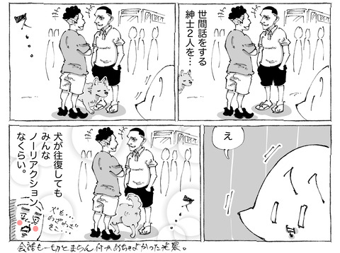 海外旅日記【565】2
