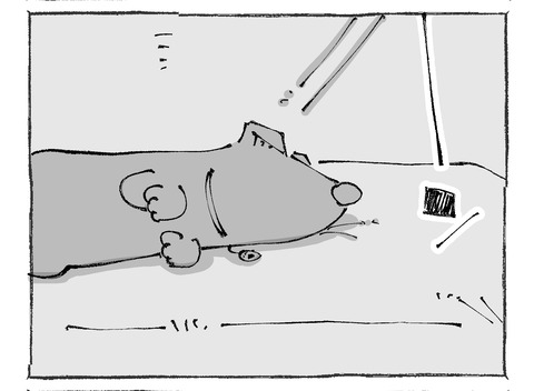 ルカ【11】222