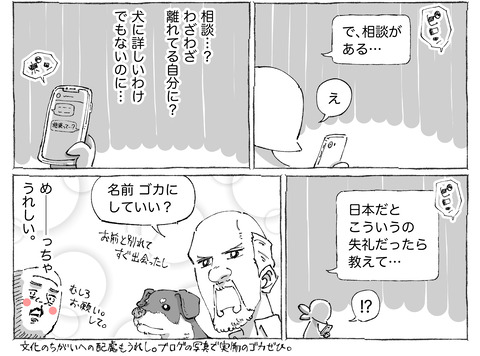 海外旅日記【312】２