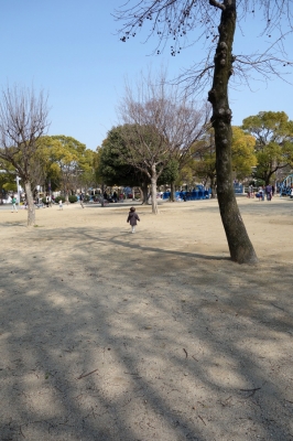 7b8e56de.jpg