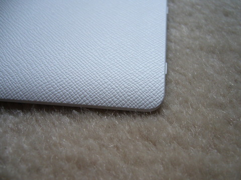 P1130315