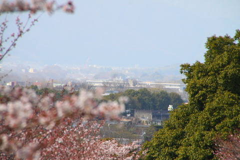 IMG_1968