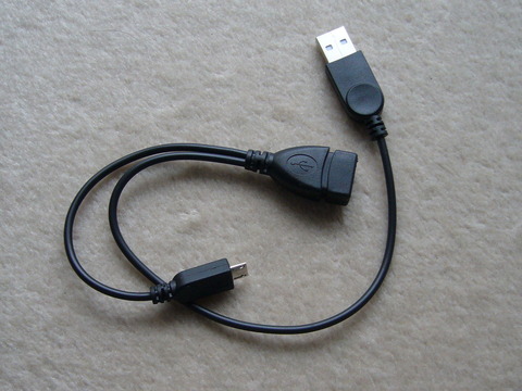 P110004