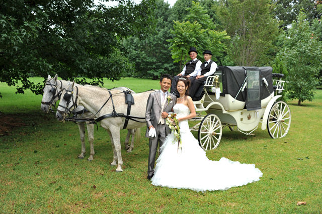 オーストラリアなら ワイナリーウェディングももちろん ゴールドコースト発 最新情報ブログ