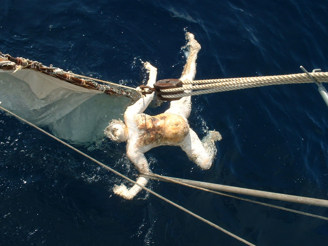 静岡の海岸 不明の女子学生 遺体で発見 ゆるふわチャンネル