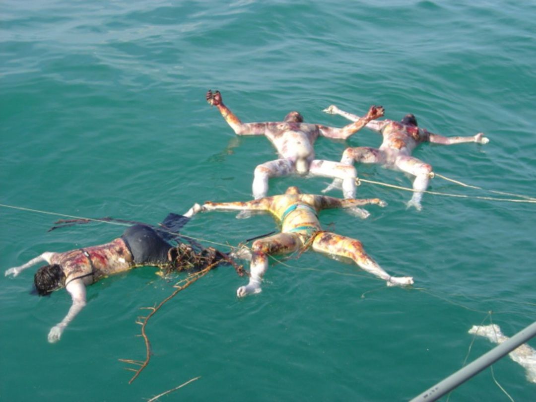 静岡の海岸 不明の女子学生 遺体で発見 ゆるふわチャンネル