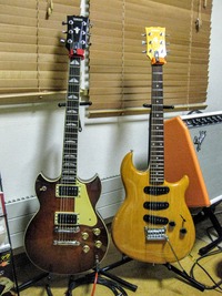 guitars_(29)