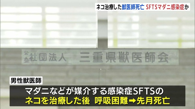 ネコの治療をした獣医師が死亡、マダニ感染症疑い
