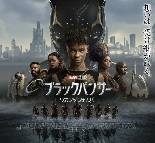 catalog_blackpanther-wf_01_18b59c0e-jpeg-540×810-