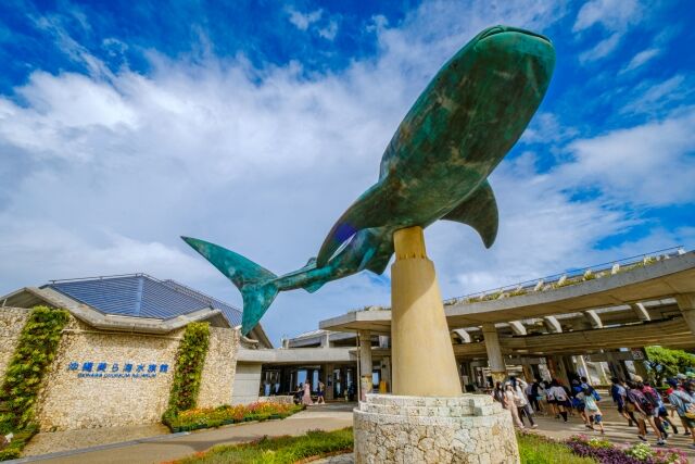 【悲報】 美ら海水族館、いくらなんでも那覇から遠すぎる