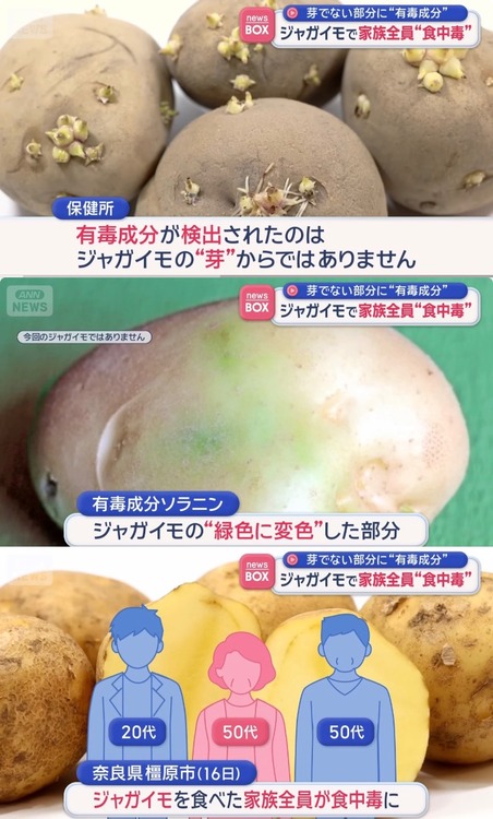 【悲報】奈良県で家族3人全員がジャガイモを食べて食中毒