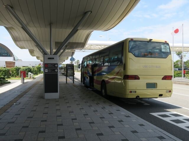 29135083_s