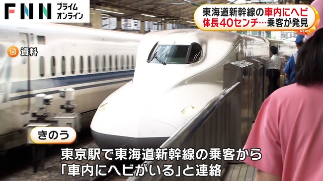 【????】 東海道新幹線の車内に体長約40センチのヘビ　一部の列車に遅れ