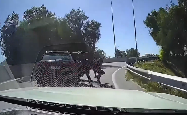 【動画】 海外、高速道路を走っているだけで強盗に襲われる