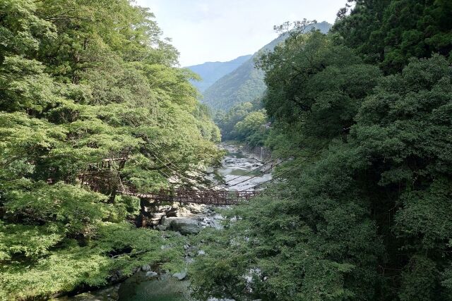 旅先で人が死ぬとこ見ちゃった…