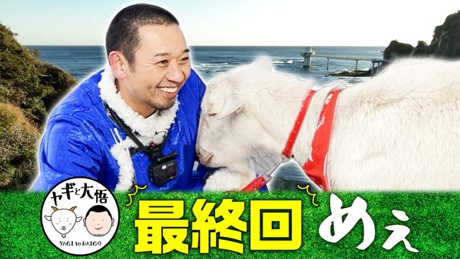 【悲報】 千鳥・大悟の相方ヤギが急死 「ロケで会えると楽しみにしていた、辛いし悲しい…」 【悲報】 千鳥・大悟の相方ヤギが急死 「ロケで会えると楽しみにしていた、辛いし悲しい…」