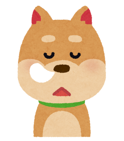 【悲報】イッヌ、道端でスヤスヤ寝てたらサイに起こされてビビる