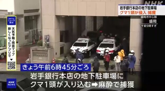 【悲報】岩手銀行本店の地下駐車場にクマ1頭が侵入